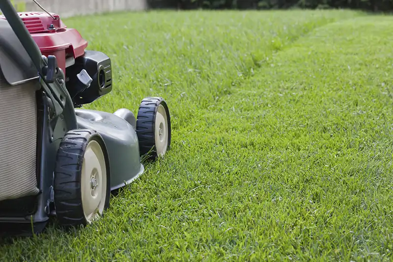 How to Mow a Lawn Like a Seasoned Professional Edison NJ