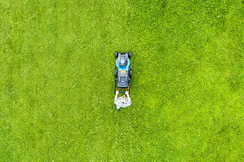 Best Lawn Mowing in Edison, NJ