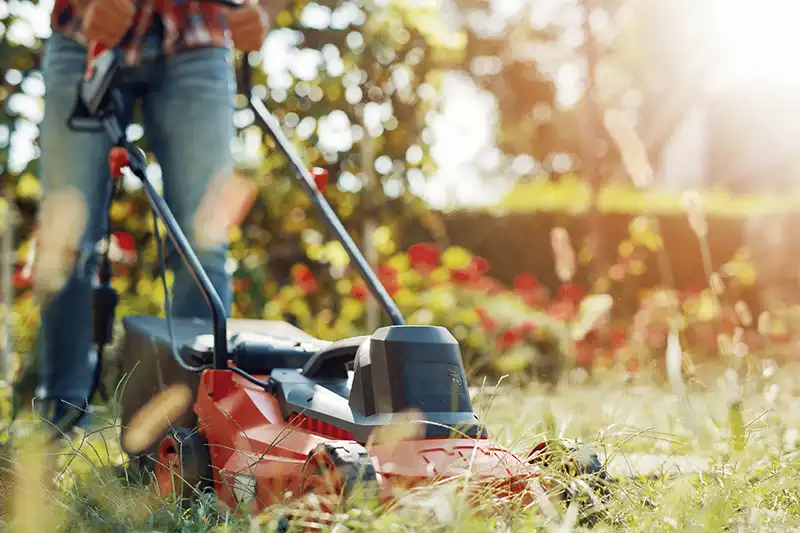 Efficient Lawn Mowing in Edison, NJ