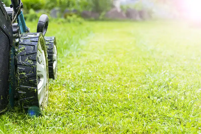 Reliable Lawn Mowing in Edison, NJ