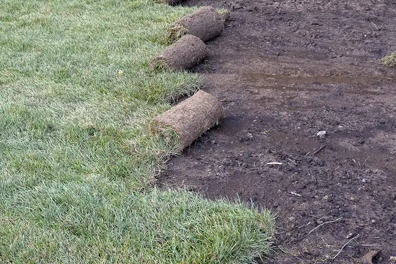 Sod Installation for Edison NJ