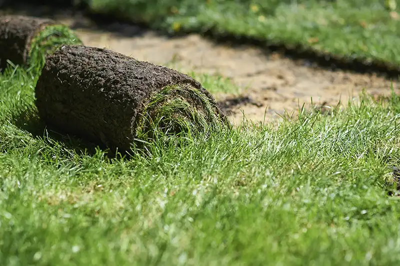 Sod Installation in Edison NJ