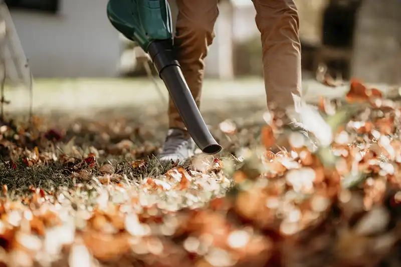 Taking the First Step How To Clean A Backyard Edison NJ