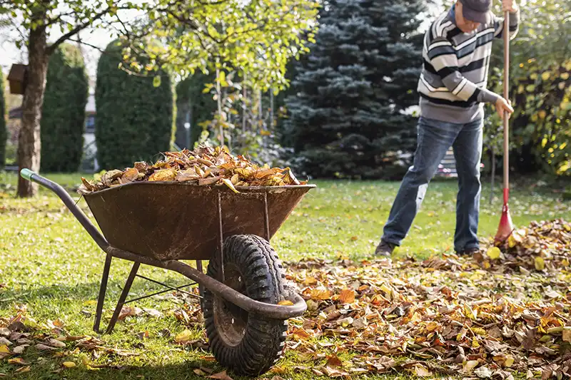 Yard Cleanup for Edison NJ